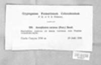 Image Associated With the Occurence